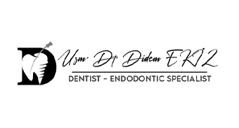 didem ekiz