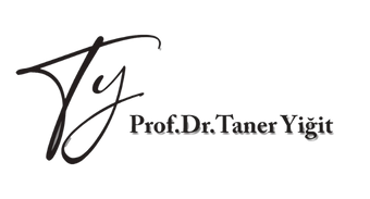 taner yigit
